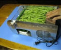 Electric Pea Sheller 