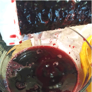 scrape residue from berry screen with spoon liquid for making seedless jelly food processor