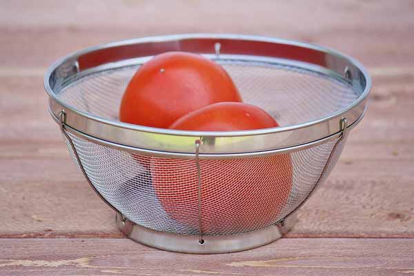 Small Mesh Sink Strainer