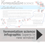 The Science of Lactic Acid Fermentation Molecular Energy Transfer Info Graphic Thumb