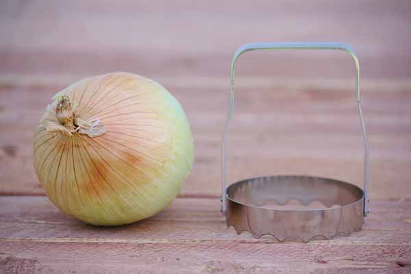 Vegetable Chopper