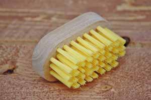 Corn Brush