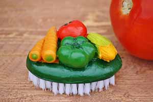 Vegetable Brush