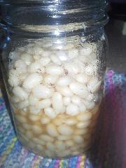 Boston Baked Beans In Jar