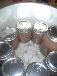 Canned Beans in Canner