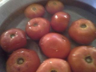 Tomatoes In Water