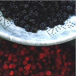 hand picked blackberries and wine rasberries