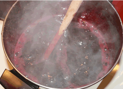 roaring boil blueberry jam